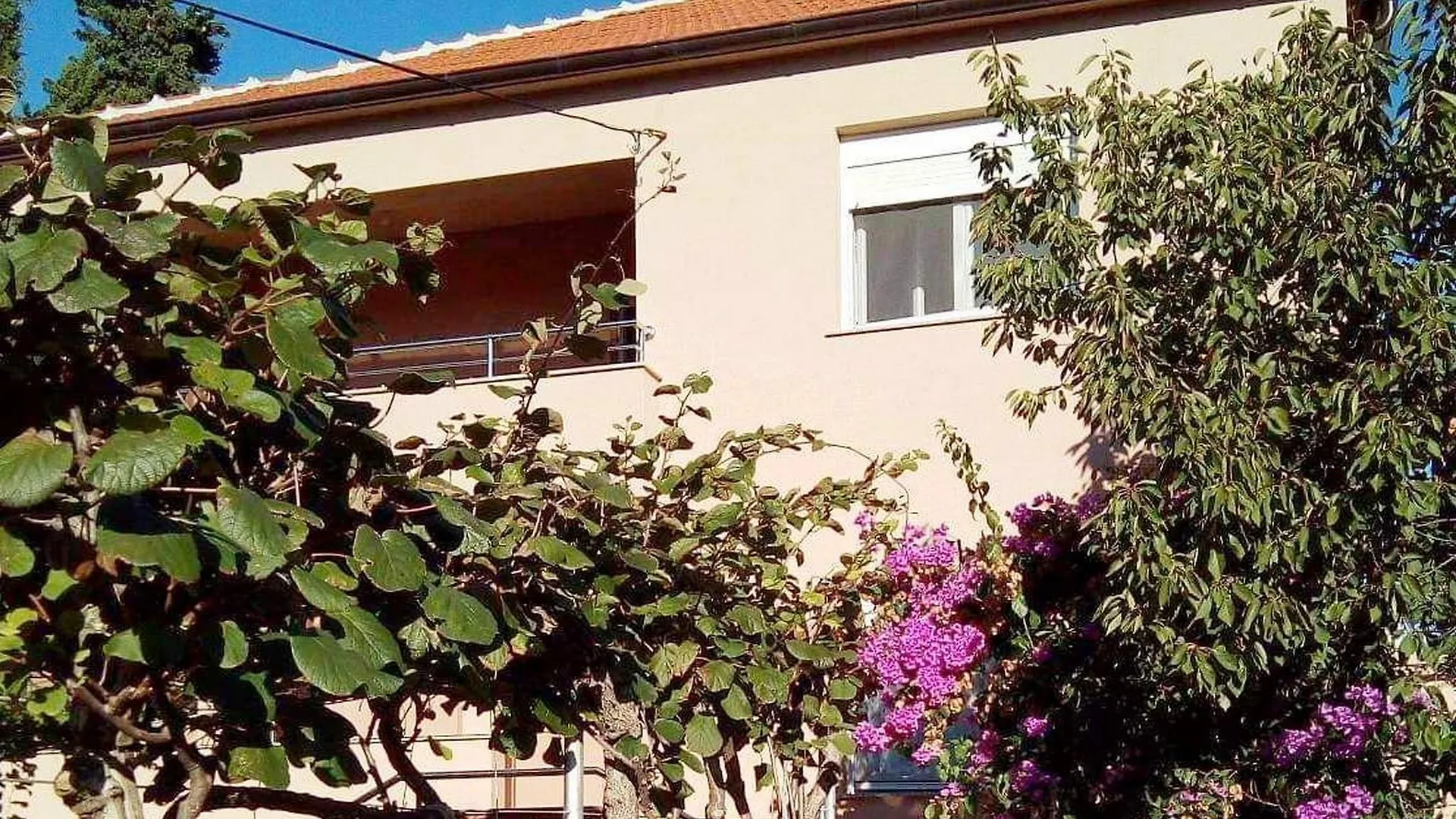 Apartments Danijel Zadar 0*,